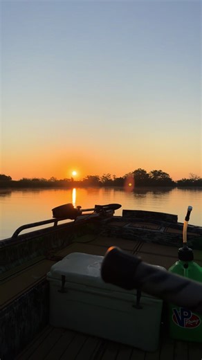 Duck Boat Adventure at Sunrise: Waterfowl Viewing