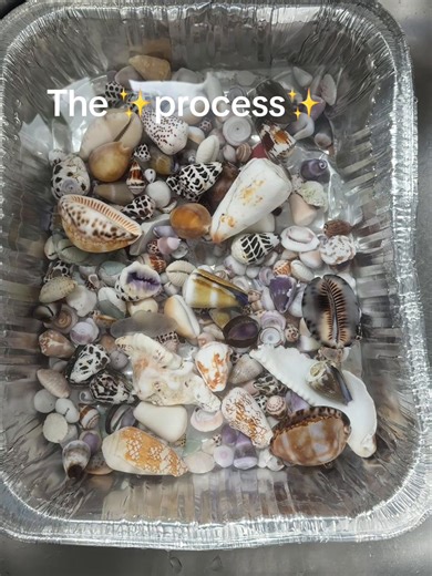 Creating Beautiful Shell Jewelry in Hawaii