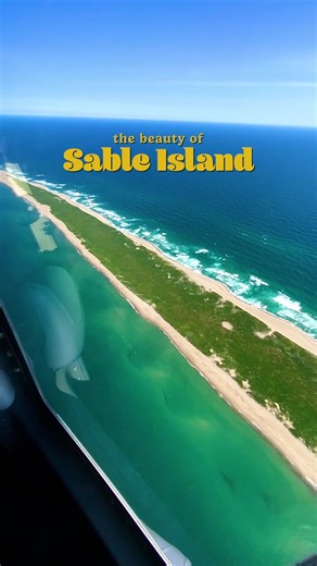 Discovering Sable Island: Home of Wild Horses
