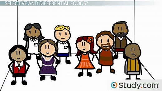 Differential & Selective Media | Definition & Examples