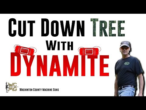 Using real dynamite to cut down tree
