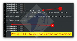 How to stop cat command in Linux