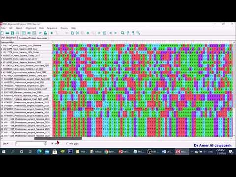 MEGA X: How to construct a phylogenetic tree