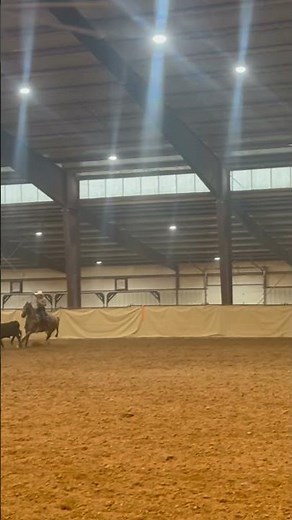 “Team Roping Fundamentals: Tips, Techniques, and Thrilling Highlights”