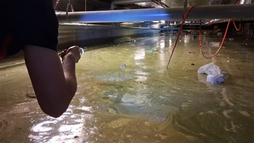 Le centre hospitalier de Compiègne victime d'une grande inondation - Oise Hebdo