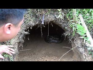 Primitive Life: Ethnic Girl's Dig Underground House Meet Big Python - Anaconda Vs Girl's