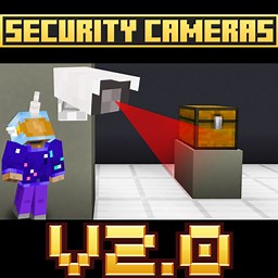 Security Cameras