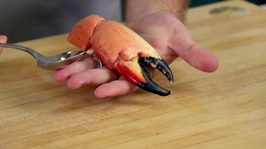 How to crack a stone crab