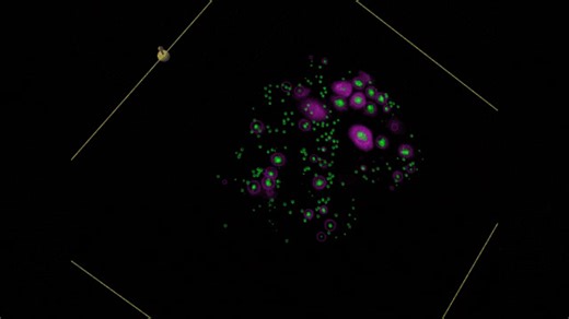 Why does fertility decline so quickly as we age? UCSF and Chan Zuckerberg Biohub scientists found that it’s not just about the eggs, it’s about the whole ovary. Using new 3D imaging, they discovered that the nerves, cells, and tissues surrounding eggs also age, affecting how well eggs mature and how long fertility lasts. These insights could lead to new ways to treat infertility, delay menopause, and reduce age-related health risks that rise after menopause, like heart disease. | UCSF