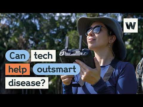 Early warning systems: using tech to predict disease outbreaks | Wellcome