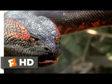 Anaconda (8/8) Movie CLIP - Swallowed Whole (1997) HD