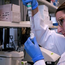 Dynamic Light Scattering for Iron Sucrose | JoVE Journal