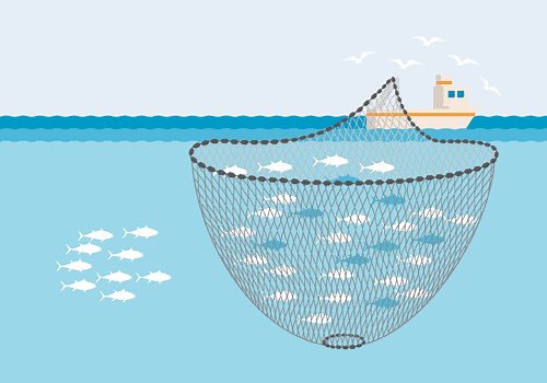 Commercial fishing methods - Sustainable Fisheries UW