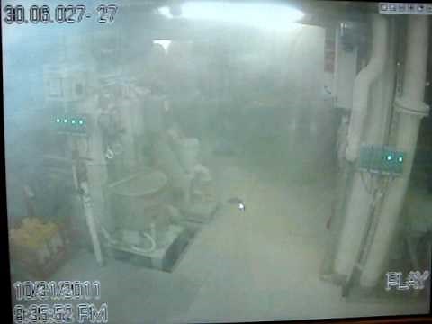 Cruise Ship Diesel Generator Explosion