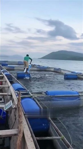 Floating Fish Farm: Future of Sustainable Fish Farming 🐟🌊 #mrdeepraj