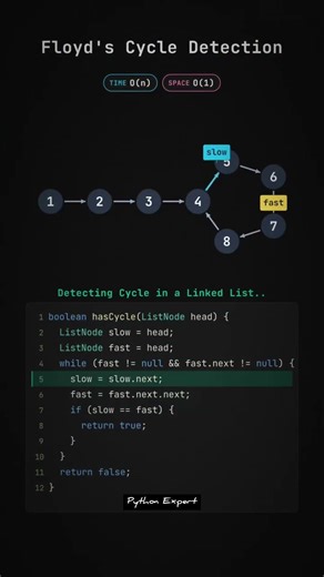 Floyd’s Cycle Detection Explained 🔥 | Fast & Slow Pointer Algorithm #coding #programming #developer