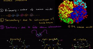 Overview of protein structure