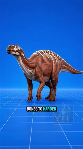The Fossil With Too Many Fractures 😨