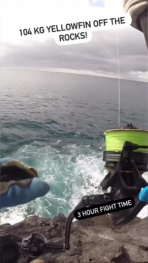 Yellowfin Tuna Fishing Adventure - Epic 3-Hour Battle!