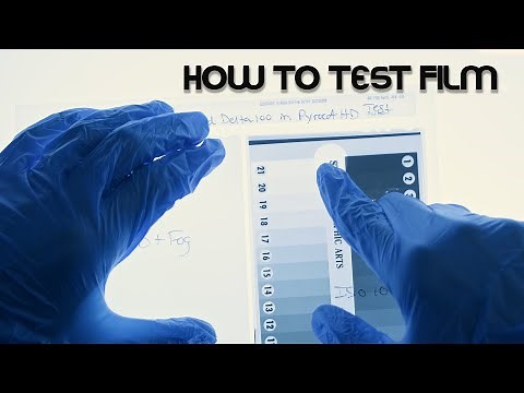 Testing Film ISO & Development Time - Large Format Friday