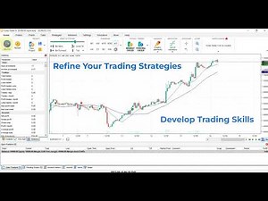 Embrace the Market: How to Experience Forex Trading Simulation