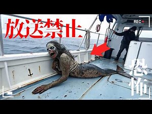 Shocking footage: Mermaid? Sea monster? Fishermen fainted in this horrifying sight! Footage that ...