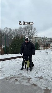 10 Commands You Should Teach Your Dog | Ultimate Dog Training List