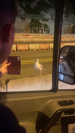 UK Passport Control Experience at Border #BorderControl #Travel #Experience