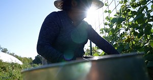 Immigrant farming key to solving labor shortage and increase food prices