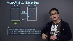 maxam gilbertとsangerシーケンスの違いは何ですか - ニュース 2026