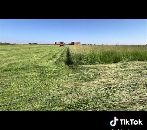 El batanero on TikTok