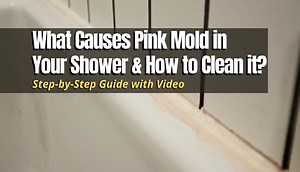 How to Clean Pink Mold from Shower? (With Video Guide) - MyHomeDwelling