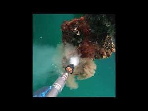 Pressure Washing 2019