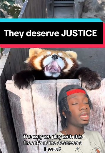Red Panda Facts: Justice for These Adorable Animals