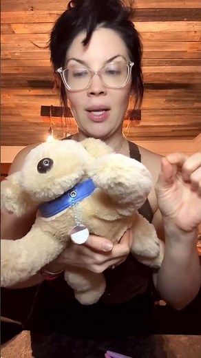 EVERYTHING to know before buying this weighted stuffed animal