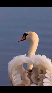 😊❣️ | Spoken Word Artist ALieN