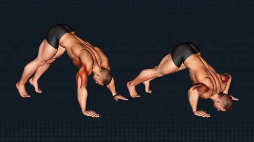 Pike Push-Ups: Target Your Deltoids and Build Upper Body Strength – Fitness Volt