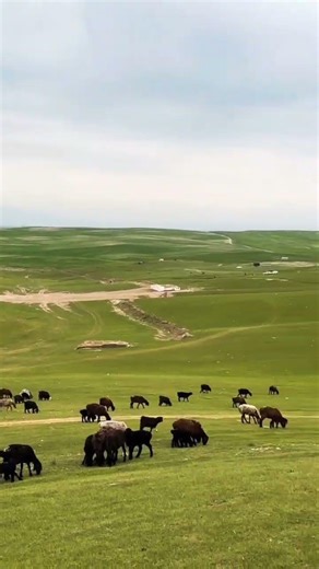 Nature of Uzbekistan # nature #mountain #beautiful #uzbekistan