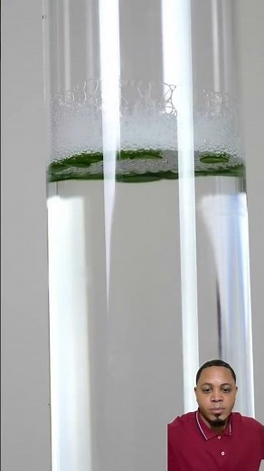 Photosynthesis in action: discover this amazing process. #photosynthesis #nature