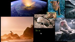 Human evolution overview