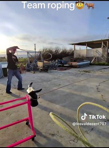 Mastering Team Roping Techniques for Beginners