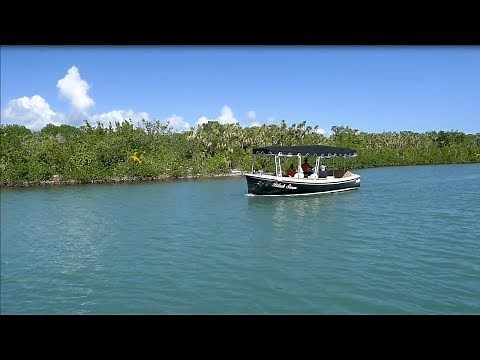 Black Swan Electric Boat Cruise | Shore Excursion | NCL