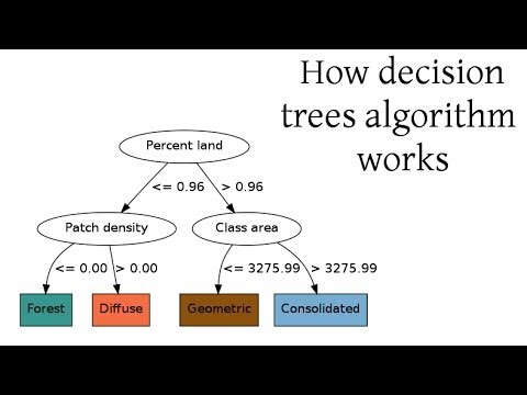 How decision trees algorithm works
