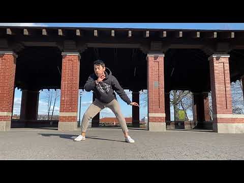 12 basic Capoeira movements (sequence)