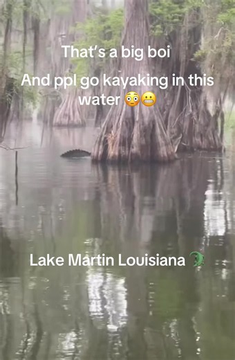 Aw naw you ain’t catch me kayaking in dat water 🐊 #alligator #swamp #scary #fyp #wildlife