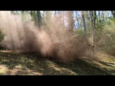 Blowing up a stump with one stick of dynamite