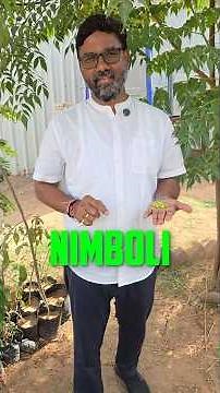 Neem Fruit Benefits | Why Nimboli Is So Useful?