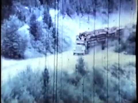 Hauling Logs - SEVEN Loads