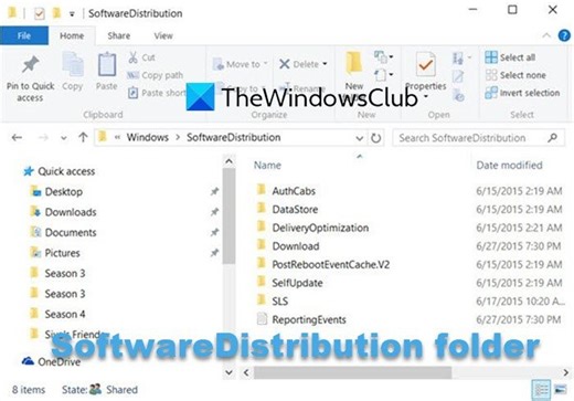 How to delete Software Distribution folder in Windows 11