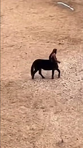 Centaurs Weren’t Heroes… They Were Monsters #creepy #abominationrealm